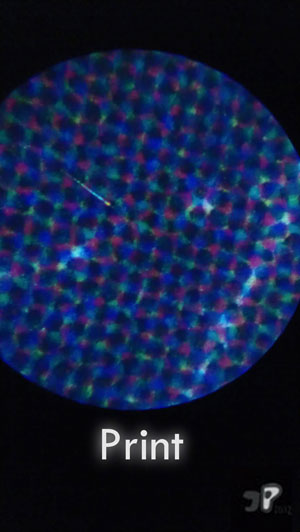 Regalement - &copy; Jujhar Pannu