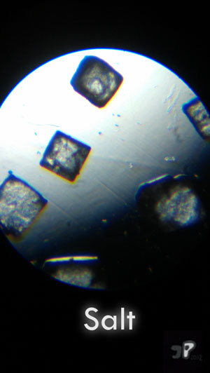 Regalement - &copy; Jujhar Pannu