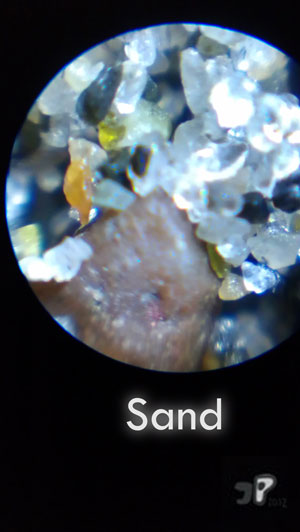 Regalement - &copy; Jujhar Pannu