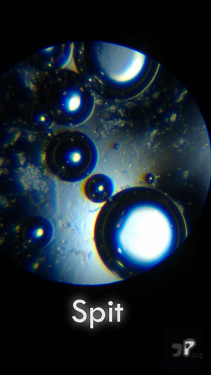 Regalement - &copy; Jujhar Pannu