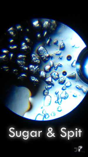 Regalement - &copy; Jujhar Pannu