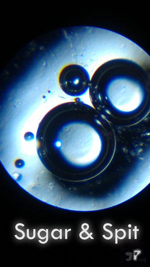 Regalement - &copy; Jujhar Pannu