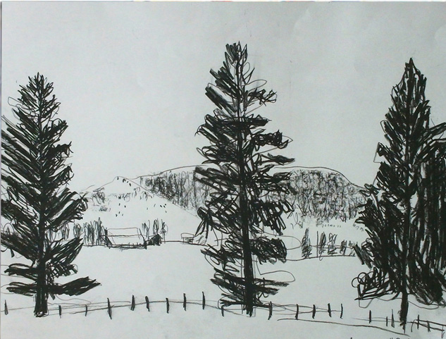 3 Trees - © Jujhar Pannu_ES