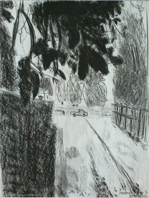 3 Trees - © Jujhar Pannu_ES