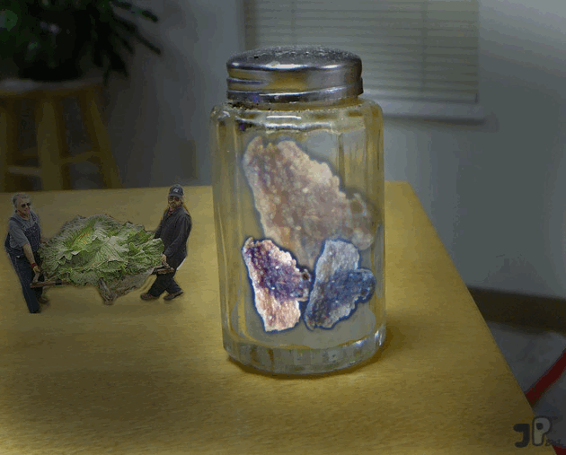 Regalement - &copy; Jujhar Pannu