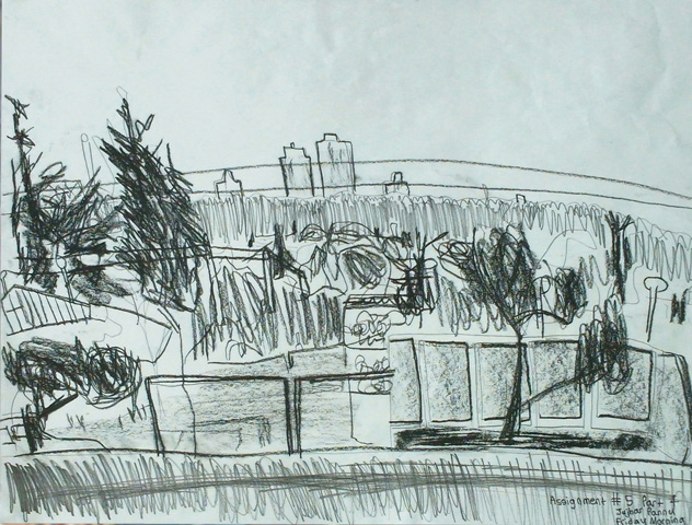 3 Trees - © Jujhar Pannu_ES