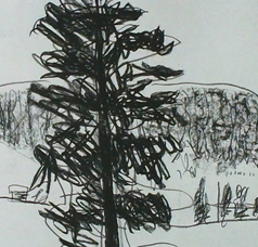 Landscape - &copy; Jujhar Pannu _ES