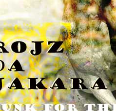 Kitchen - &copy; Jujhar Pannu _ES